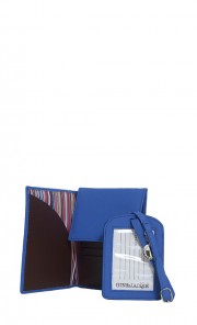 Alex Passport Holder & Luggage Tag Set in Blue