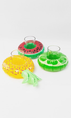 Fruity Trio Drink Holder Float Set