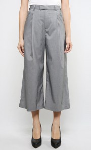 Pleated Pants in Grey