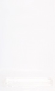 Tulip Pastel iPhone 6 Case