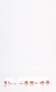 Watermelon iPhone 6 Case