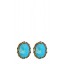Dimensional Stone Earrings in Blue