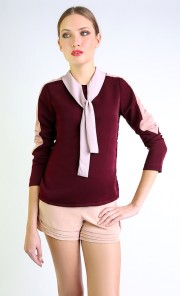 Aster Top in Maroon