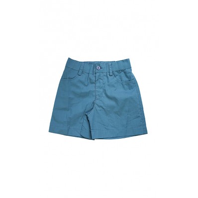Emile Shorts in Teal