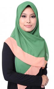 Reflection Shawl in Green and Peach Border