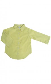 Beth Rolled-Up Sleeves Collar Shirt in Apple Green