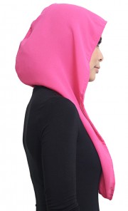 Zenessa Chiffon Hoodie in Pink