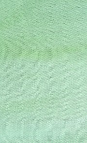 Plain Pashmina Shawl in Light Green