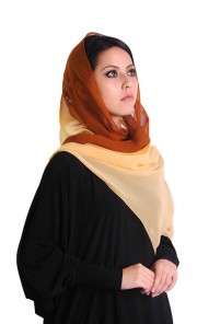 Ombre Sheer Chiffon Shawl in Brown