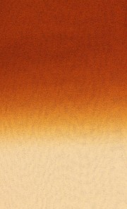 Ombre Sheer Chiffon Shawl in Brown