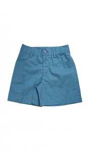 Emile Shorts in Teal
