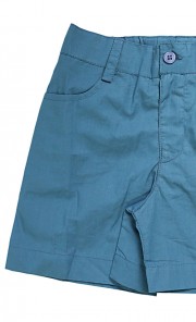 Emile Shorts in Teal