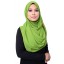 Wide Chiffon Shawl in Green