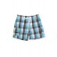 Plaid Short in Turqoise