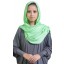 Plain Pashmina Shawl in Light Green