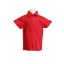 Boy Short Sleeved Shirt in Red