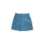 Emile Shorts in Teal