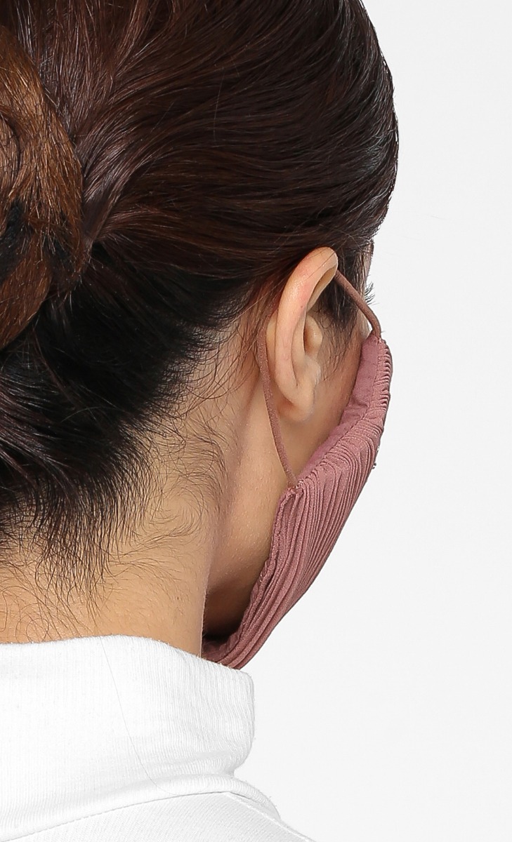 Pleats Face Mask (Ear-loop) in Daydream image 2