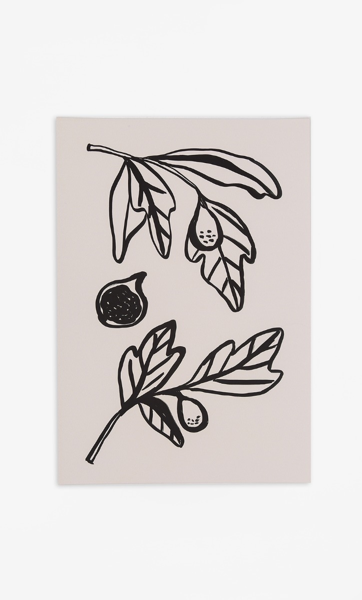 Fig Plant Card (Medium)