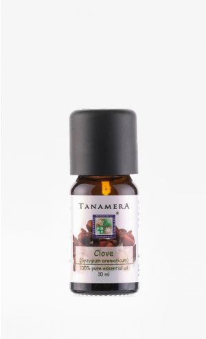 Essential Oil in Clove 10ml 